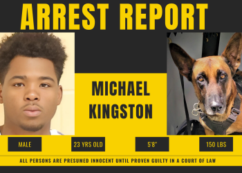 Shreveport K-9 Diesel Nabs Armed Murder Suspect in Dramatic Chase